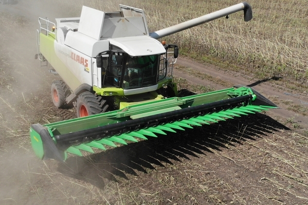 Reaper für die Ernte von Sonnenblumen CX