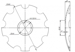 Notched disk AMAZONE